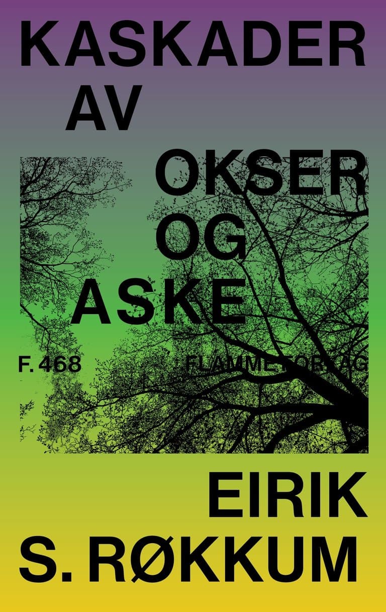 Omslag Kaskader av okser og aske av Eirik S. Røkkum (Ebok)