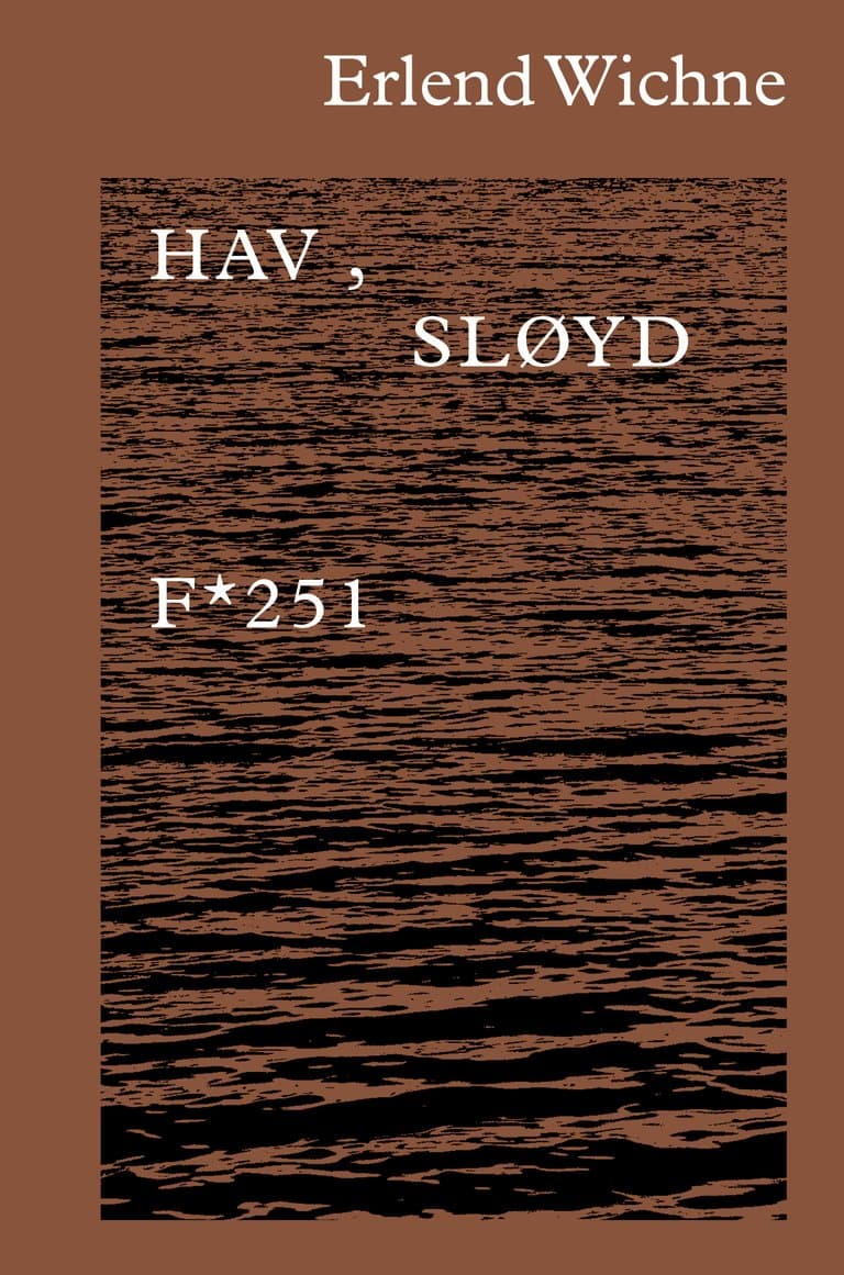 Omslag Hav, sløyd av Erlend Wichne (Innbundet)