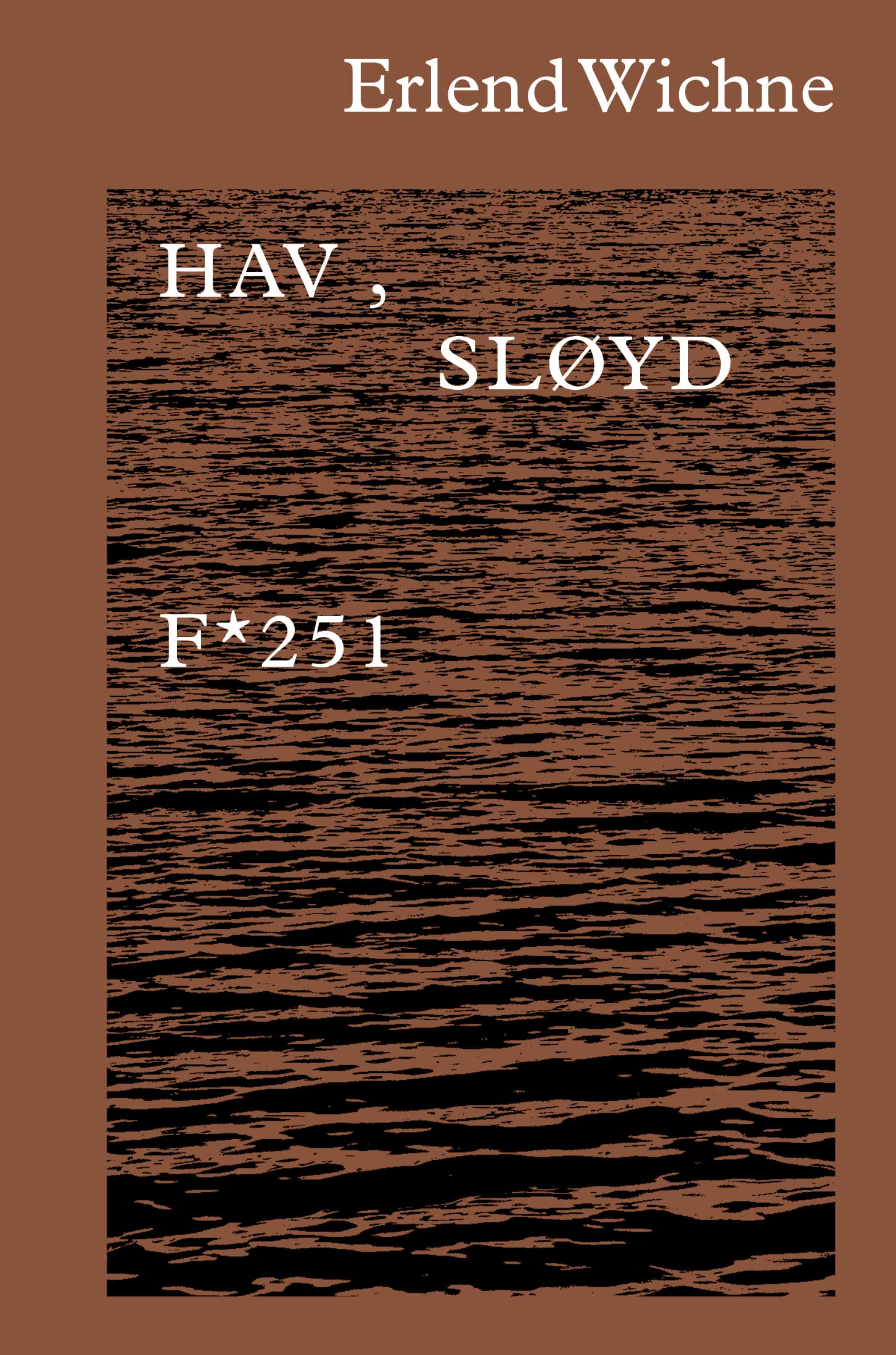 Omslag Hav, sløyd av Erlend Wichne (Ebok)