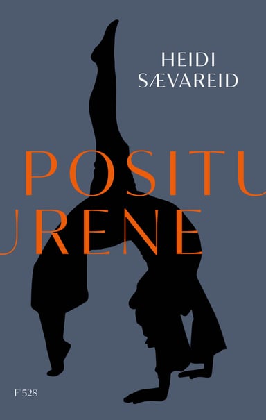 Omslag av "Positurene"