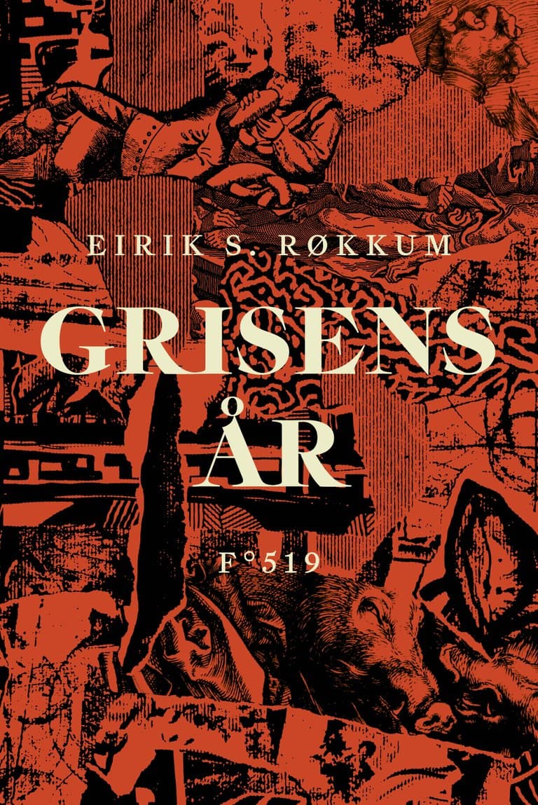Omslag Grisens år av Eirik S. Røkkum (Innbundet)