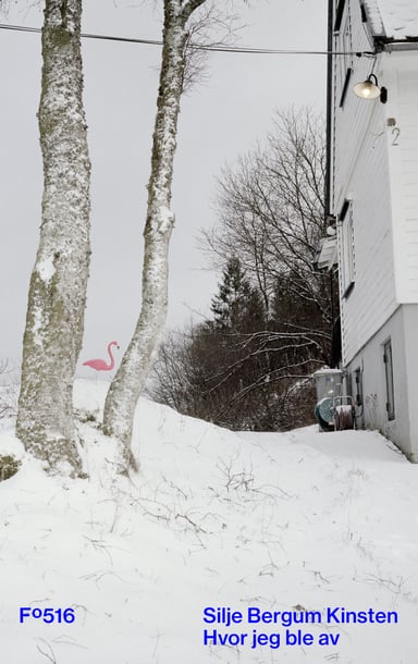 Omslag av "Hvor jeg ble av"