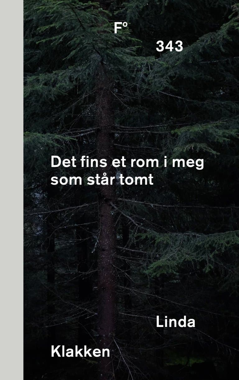 Omslag Det fins et rom i meg som står tomt av Linda Klakken (Ebok)