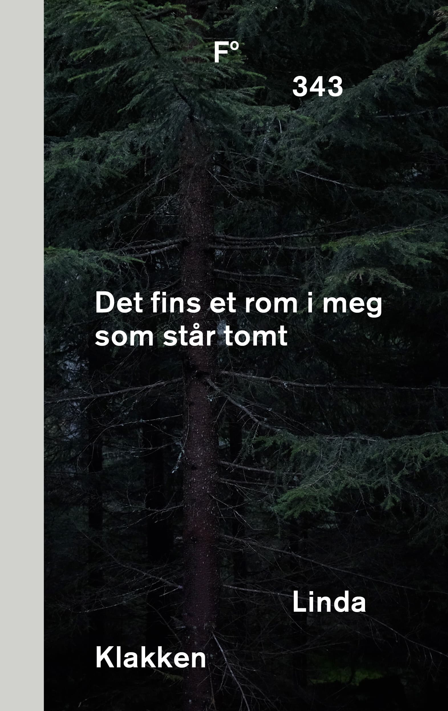 Omslag Det fins et rom i meg som står tomt av Linda Klakken (Ebok)